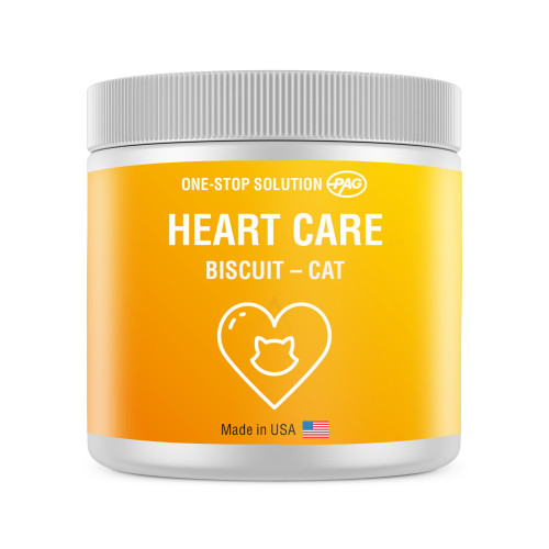 Heart Biscuit for cat